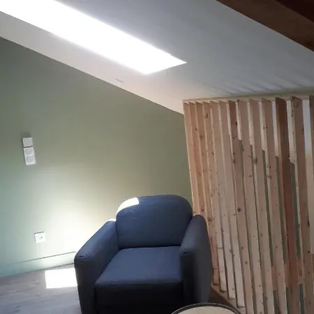 Le Chartreuse / Rent4night Apartamento