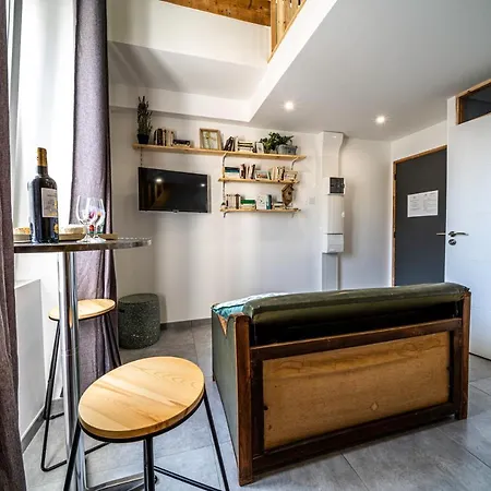 Le Chartreuse / Rent4night Apartamento Grenoble