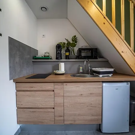 Le Chartreuse / Rent4night Apartamento Grenoble